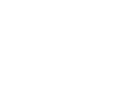 CyberDude Internship
